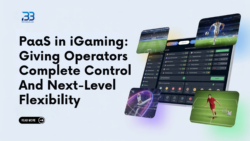 How the PaaS Model is Transforming iGaming: Full Control and Agility for Operators