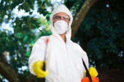 Best Services For Pest Control Singapore | Ardent Pest Management