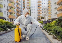 Find The Best Services For Pest Control Singapore