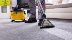 Top 7 Carpet Cleaning Service Types in Sydney: Which One is Best for You?