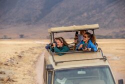 Top Reasons for Private Tanzania Safari Packages