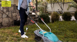 Top 10 Reasons to Hire Professional Lawn Mowing Services This Season