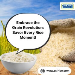 Why Indian Basmati Rice Manufacturers Are Preferred Worldwide