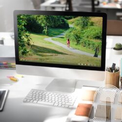 Original Ginger Professional Digital Marketing Agency in Vancouver