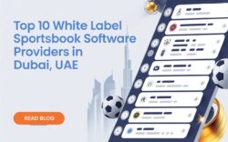 White Label Sportsbook, Sports Betting Software Providers in Dubai, UAE