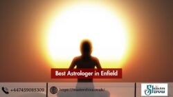 Best Astrologer in Enfield – Master Shiva