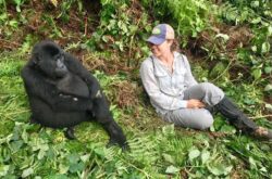 Best Moments Traveller Shouldn’t Miss with Rwanda Gorillas