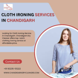 Cloth Ironing Services in Chandigarh