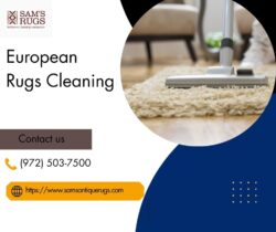Professional European Rugs Cleaning Services