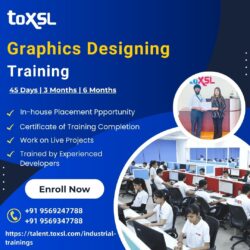Graphics designing Training in Mohali | ToXSL Technologies