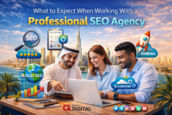 Best Local SEO Agency in Dubai UAE