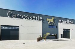 Safe & Professional Horse Transportation Services