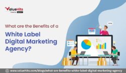 Smart Ways a White Label Digital Marketing Agency Supports Your Growth
