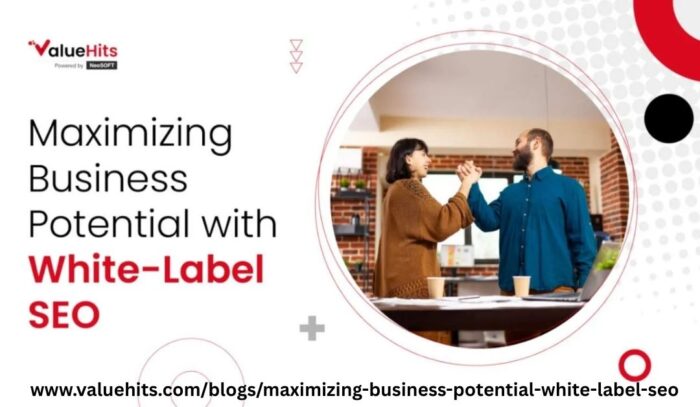 Smart Ways to Grow With White label SEO