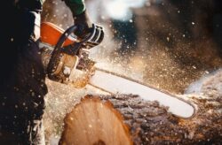 Tree Lopping North Shore