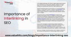 Trusted SEO Company in Mumbai for Real Business Growth