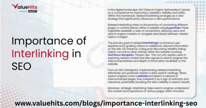 Trusted SEO Company in Mumbai for Real Business Growth