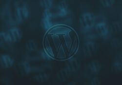 Custom WordPress Development Services in Dubai –kazedigital