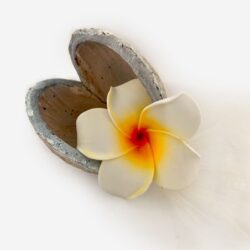 Bonbonnière Exotique