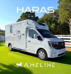 Reliable Horse Boxes Designed for Safe Transport