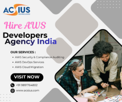 Hire AWS Certified Developer