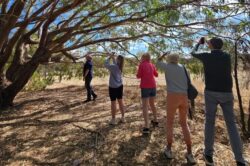 Barossa Valley Wine Tours