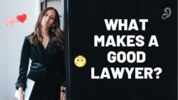 The “Good” Lawyer vs. The “Best” Lawyer: A Brutal Lesson in What Your Fu ...