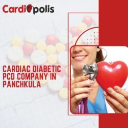 Best Cardiac Diabetic PCD Company in Panchkula
