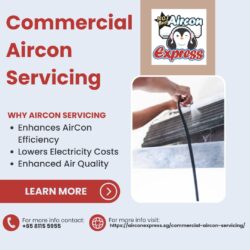Trustworthy Commercial Aircon Servicing for Peak Performance