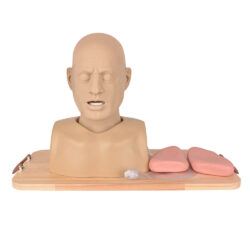 Adult Airway Manikin for Intubation & Ventilation Practice