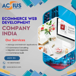 Ecommerce Website Development Services India