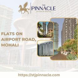 Luxurious Flats on Airport Road, Mohali By The Pinnacle