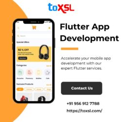 Best Flutter App Development Company: ToXSL Technologies