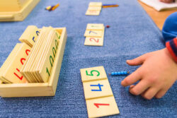 How Early Numeracy Development Shapes Lifelong Confidence