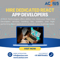 Hire React Native Programmers