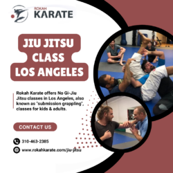 Jiu Jitsu Class​ Los Angeles​ | Rokah Karate