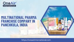 Multinational Pharma Franchise Company in Panchkula, India