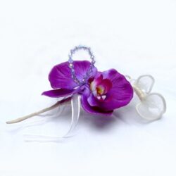 Orchidée Pour Bonbons