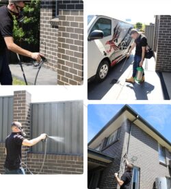 Pest Control Ingleburn