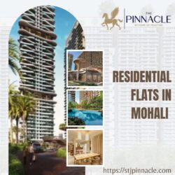 Luxurious Flat in Mohali With Top-Class Amenities
