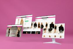 Why Choose KiwiCommerce as Your Shopify Development Agency