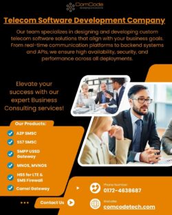 Telecom Software Development Company