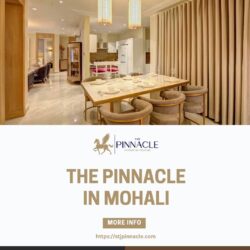 Explore Luxurious Lifestyle With The Pinnacle in Mohali
