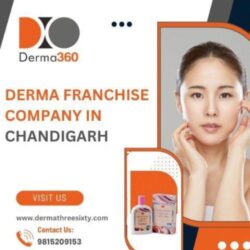Chandigarh’s Best PCD Company | Derma360 Private Limited