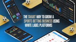 Growing a Profitable Online Sports Betting Brand Using White Label Solutions