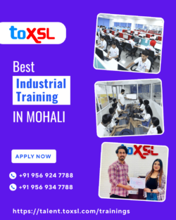 Industrial Training in Mohali at ToXSL Technologies