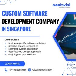 Custom Software Development Company in Singapore – Nextwisi Solutions
