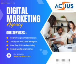 Digital Marketing Services India