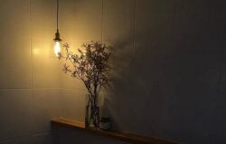 Electrician Sanctuary Point