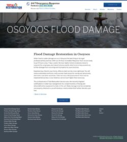 Professional Flood Remediation Services